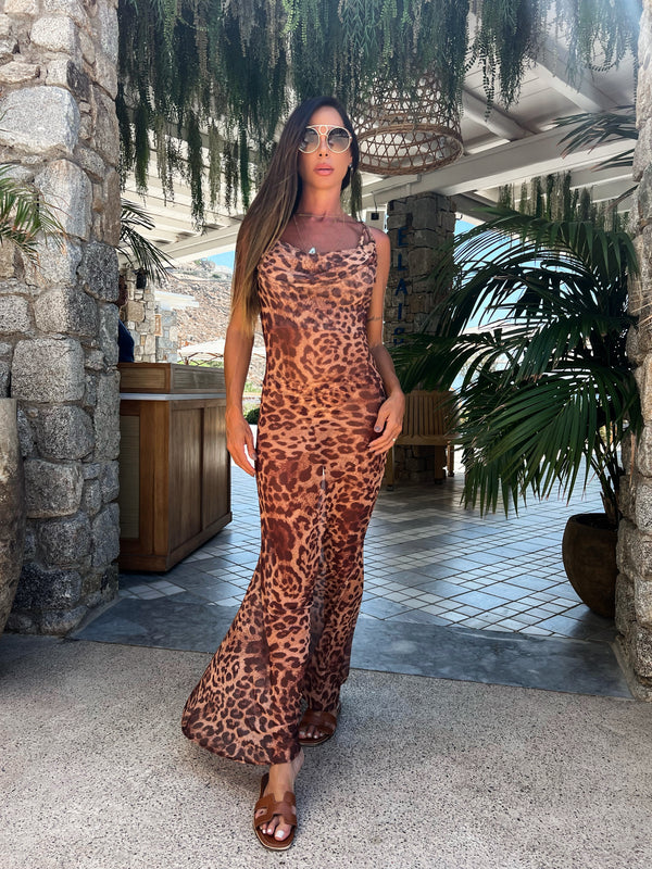 Conjunto Wild